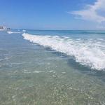 Ft Pierce Inlet State Park
