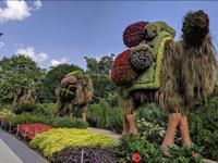 Atlanta Botanical Garden