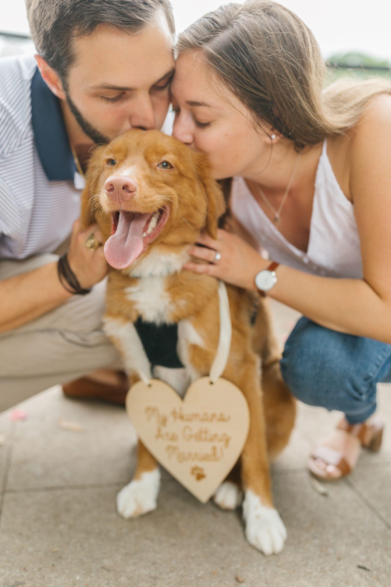 The Wedding Website of Jessica Romine and Josef Hofer