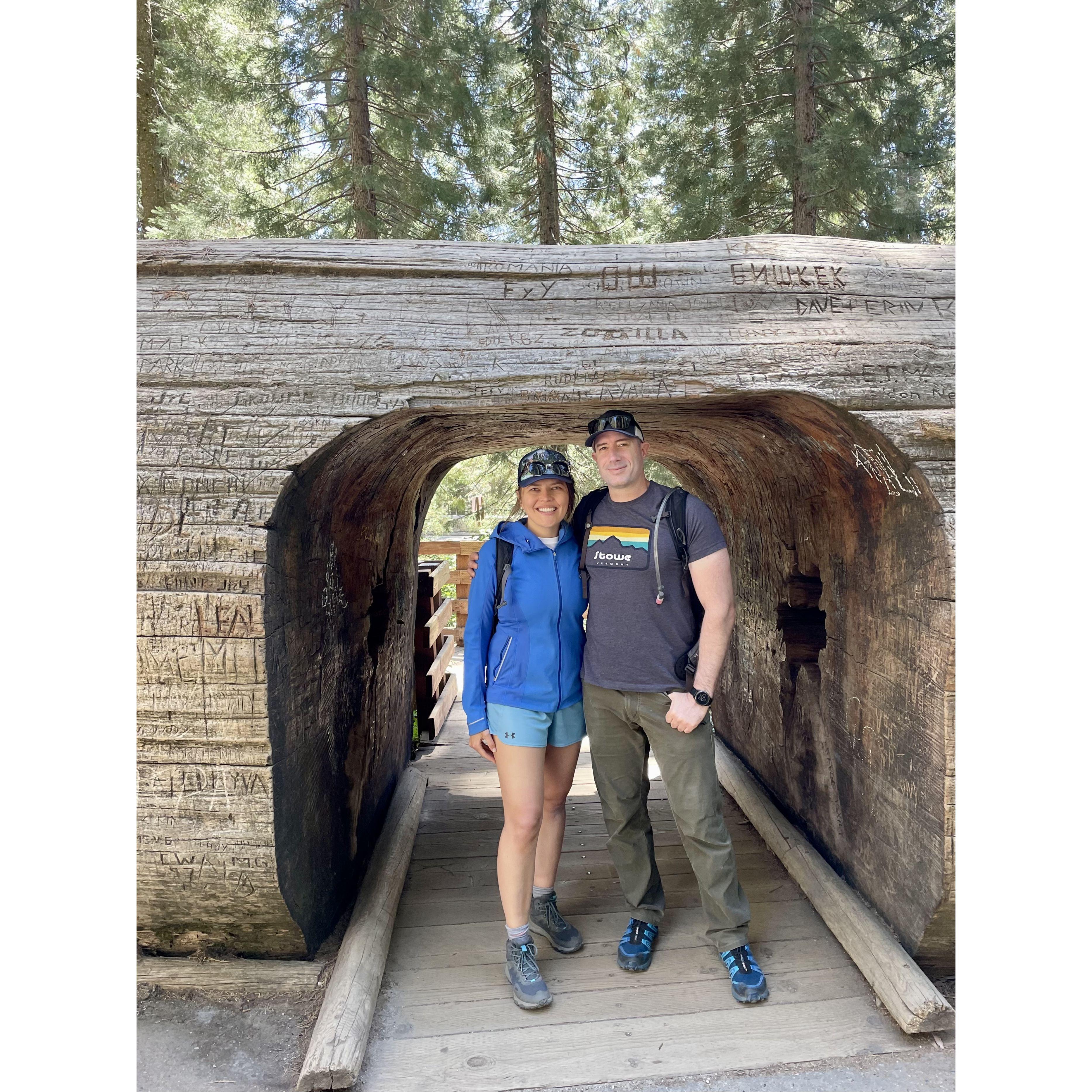 Sequoia National Park, May 2022