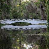Magnolia Plantation & Gardens