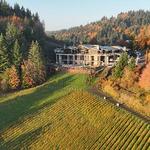 Amaterra Winery