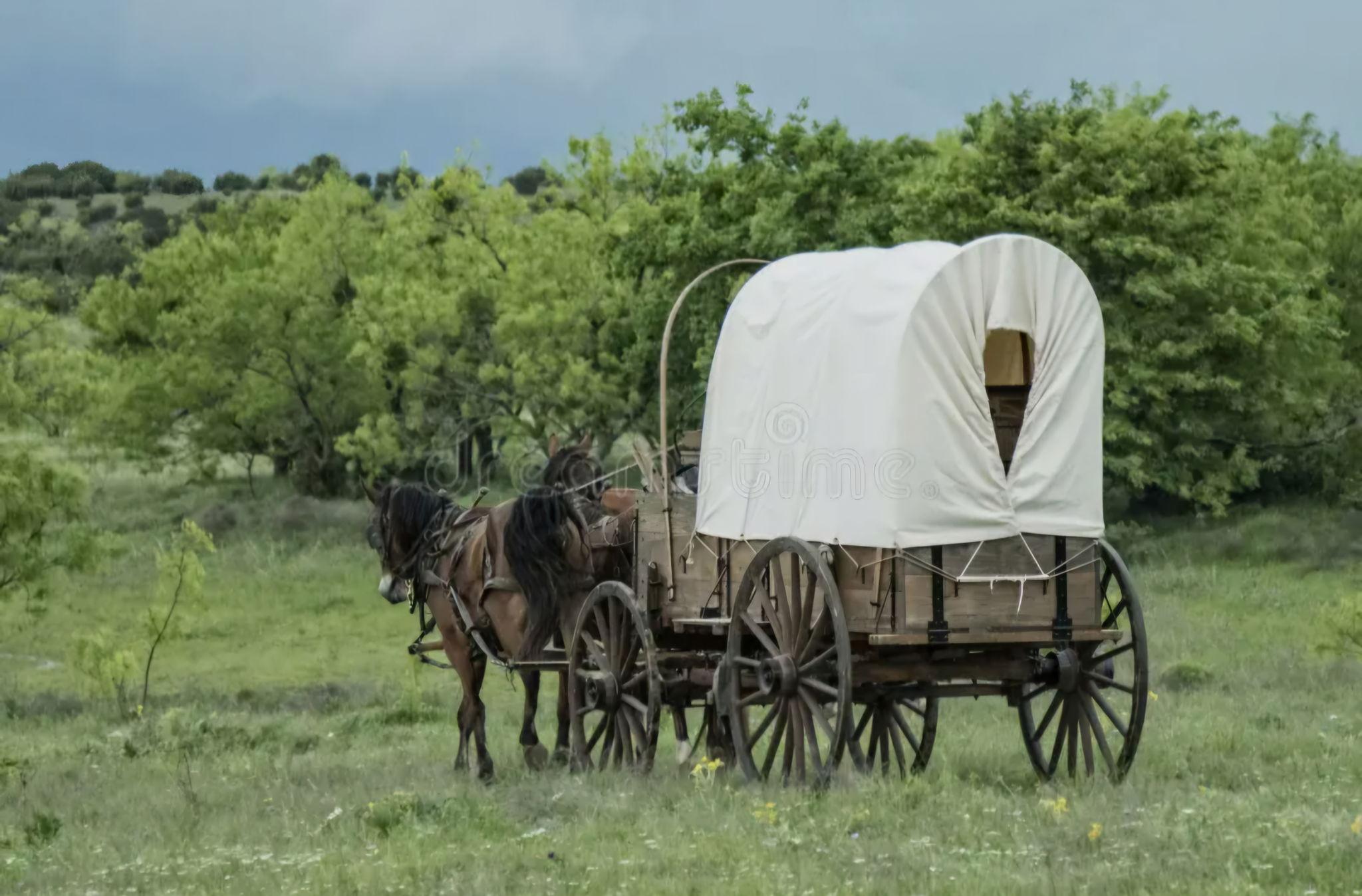 The Wedding Website of Samantha Lykon and Samuel Valentine