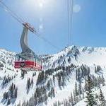Snowbird