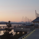 Percival Landing Park
