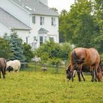 Norz Hill Farm & Market, LLC
