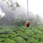 El Yunque Rainforest