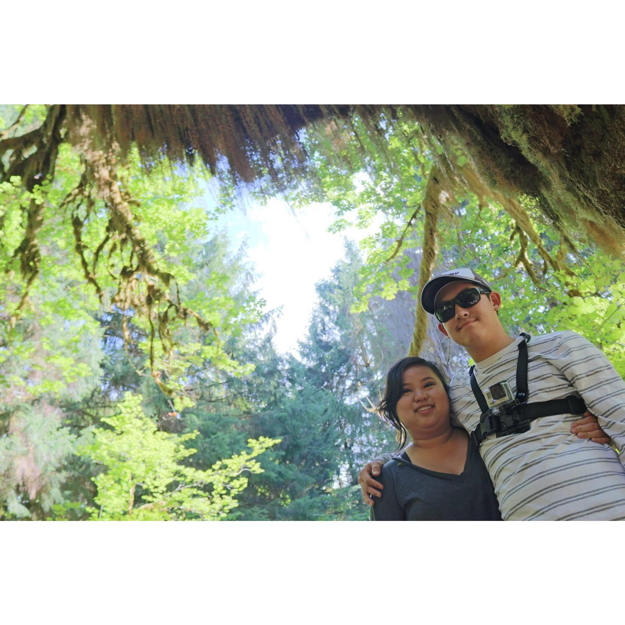 My torture of walking through the rainforest in Washington, but having the advantage of capturing beautiful moments like this.