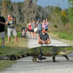 Circle B Bar Reserve