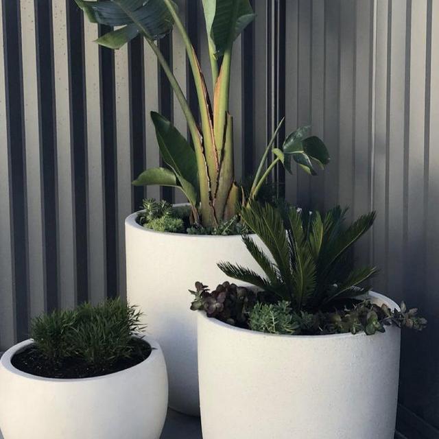 Flower Pots