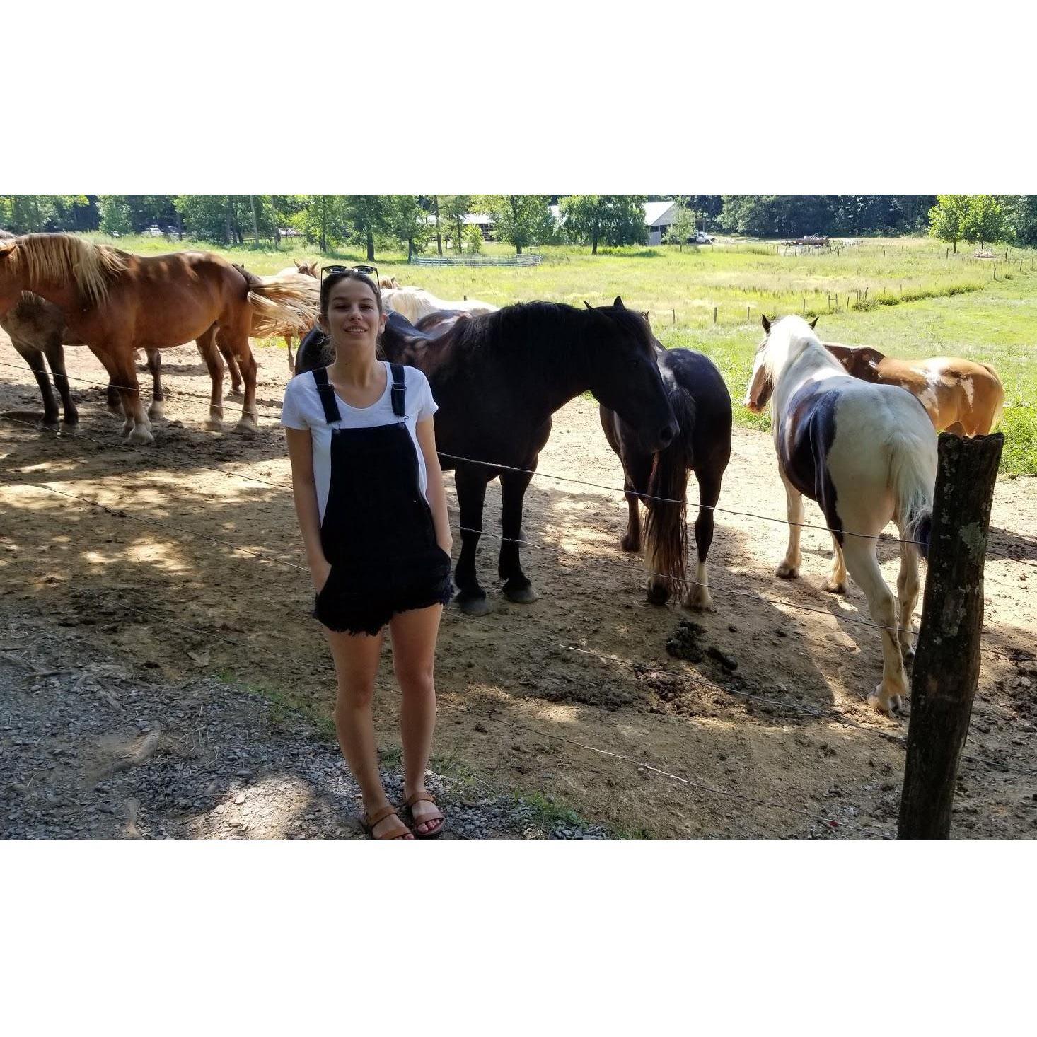 A horse is a horse of course of course
Sight seeing in Cade's Cove.