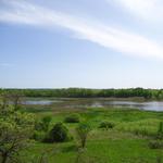 Louisville Swamp Trailhead