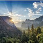 Yosemite National Park