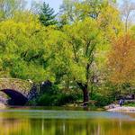 Central Park