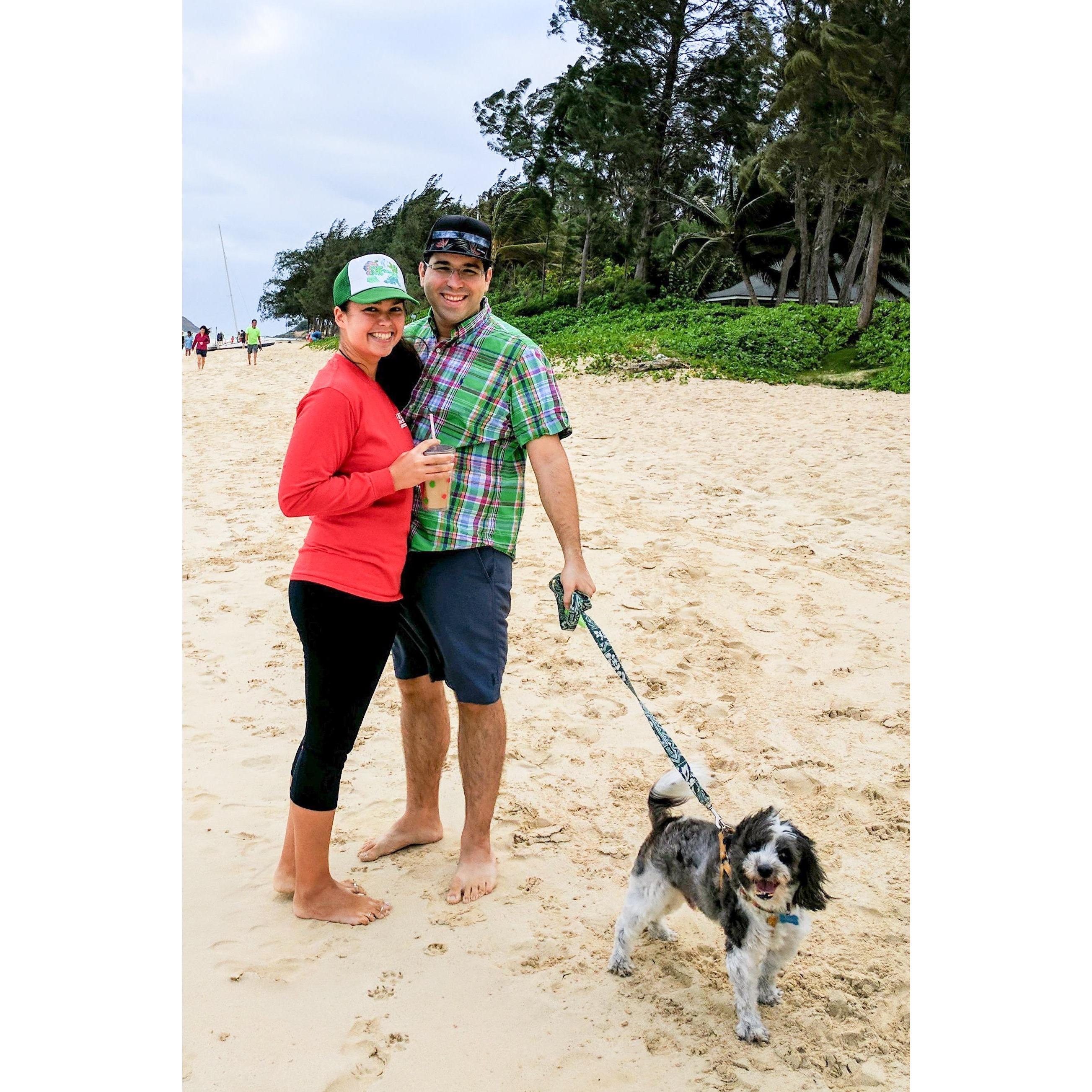 Beach walks with Moana