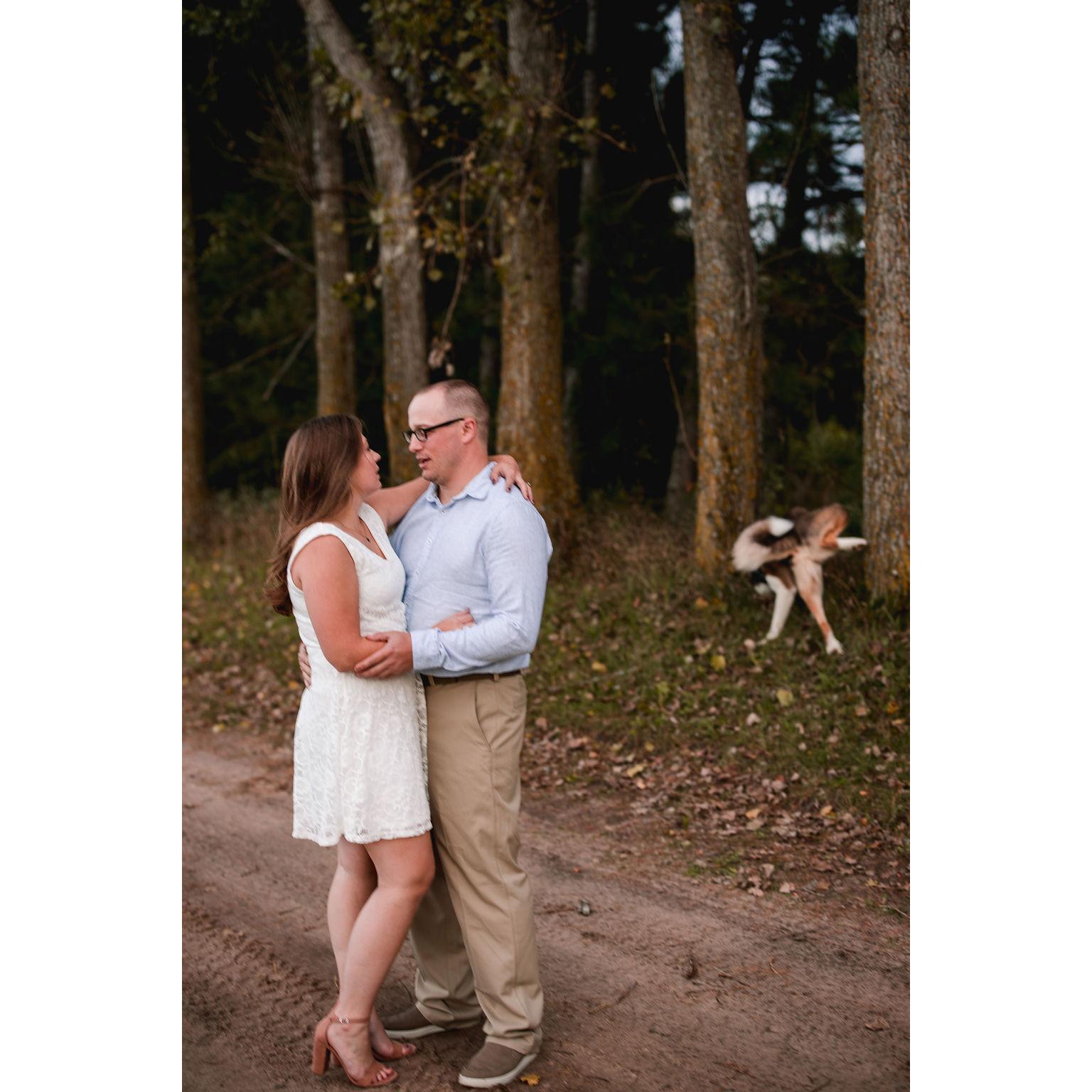 Notice anything here? Yeah, this is what it's like having a boy dog..