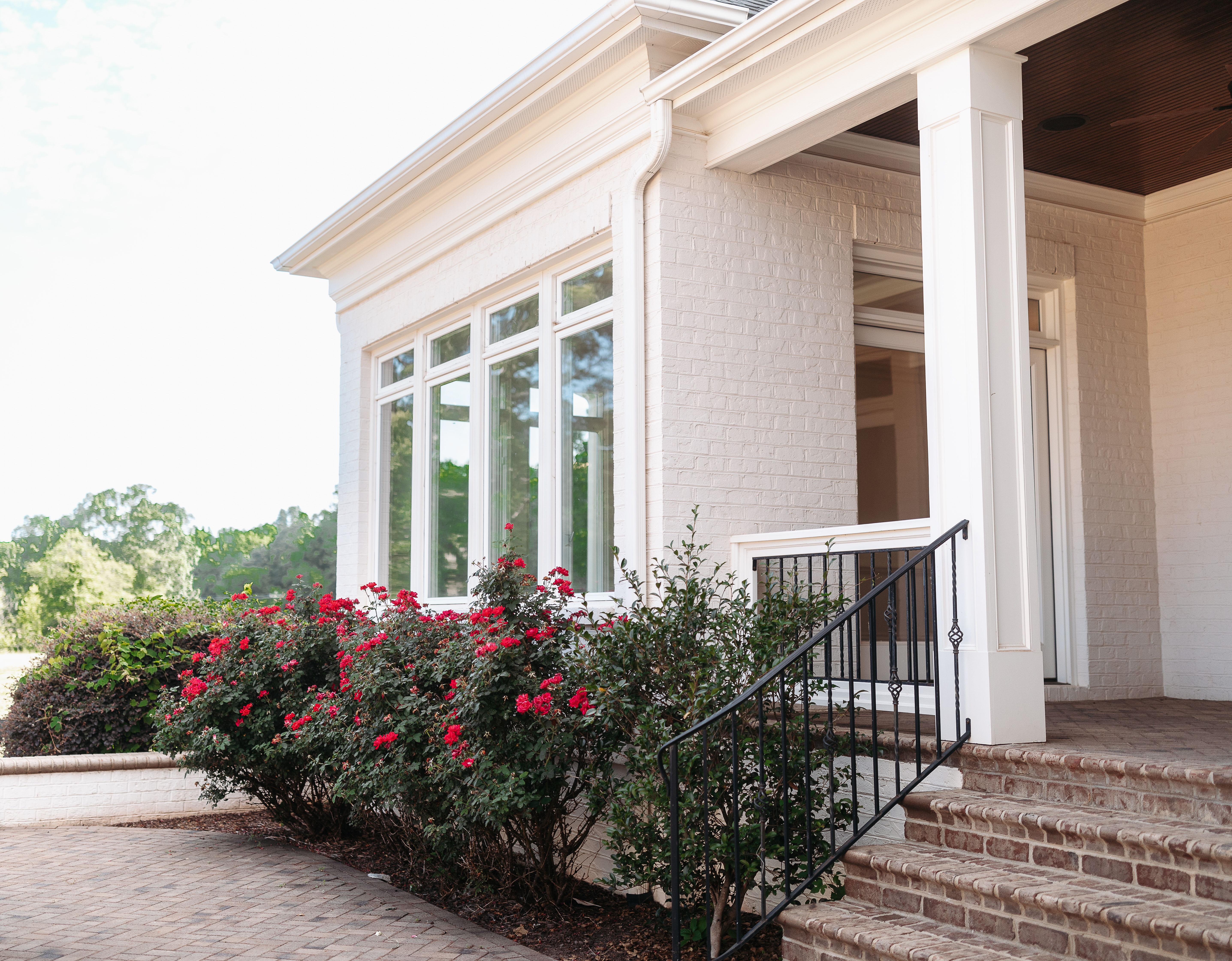 The Wedding Website of Idalanis Hernandez and Connor Curley