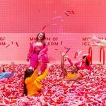 Museum of ice cream