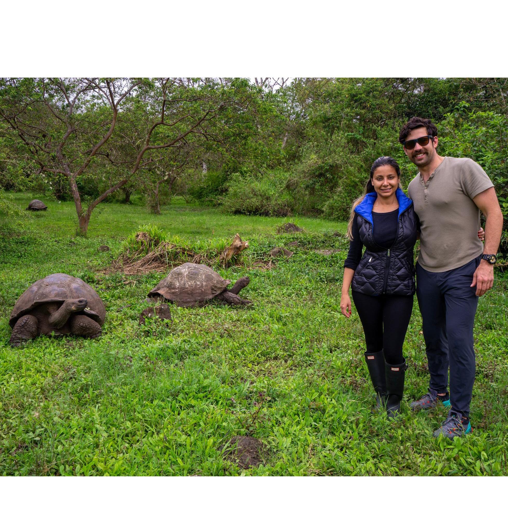 We adventured to the Galápagos Islands during the pandemic where we climbed volcanos, scuba dived with hammerheads, and witnessed 200yr old tortoises getting it on! #MarriageGoals