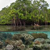 Seek adventure in Cas Cay