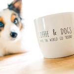 Pups & Cups Cafe