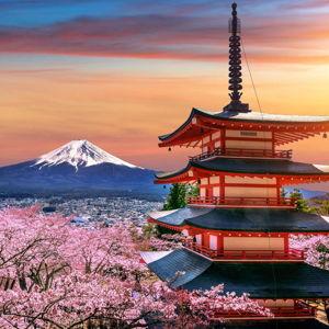 Japan Honeymoon Fund