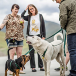 Mountain Humane