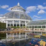 Bronx Botanical Garden