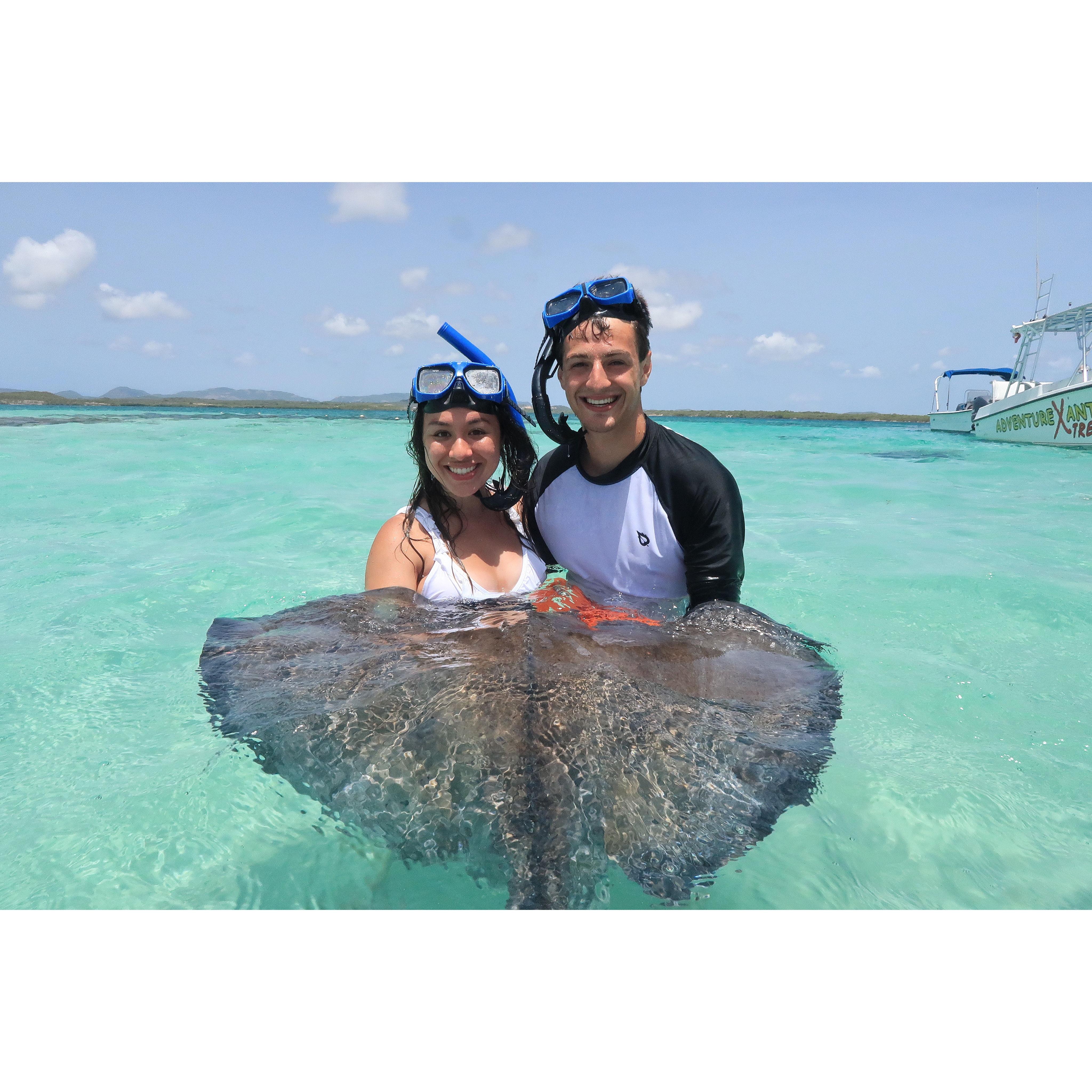 Giant stingrays in Antigua :)