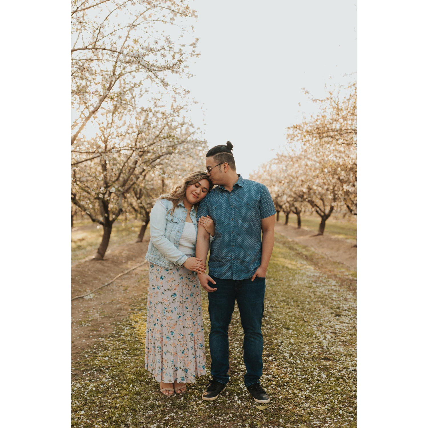 Almond Orchard — Modesto, CA