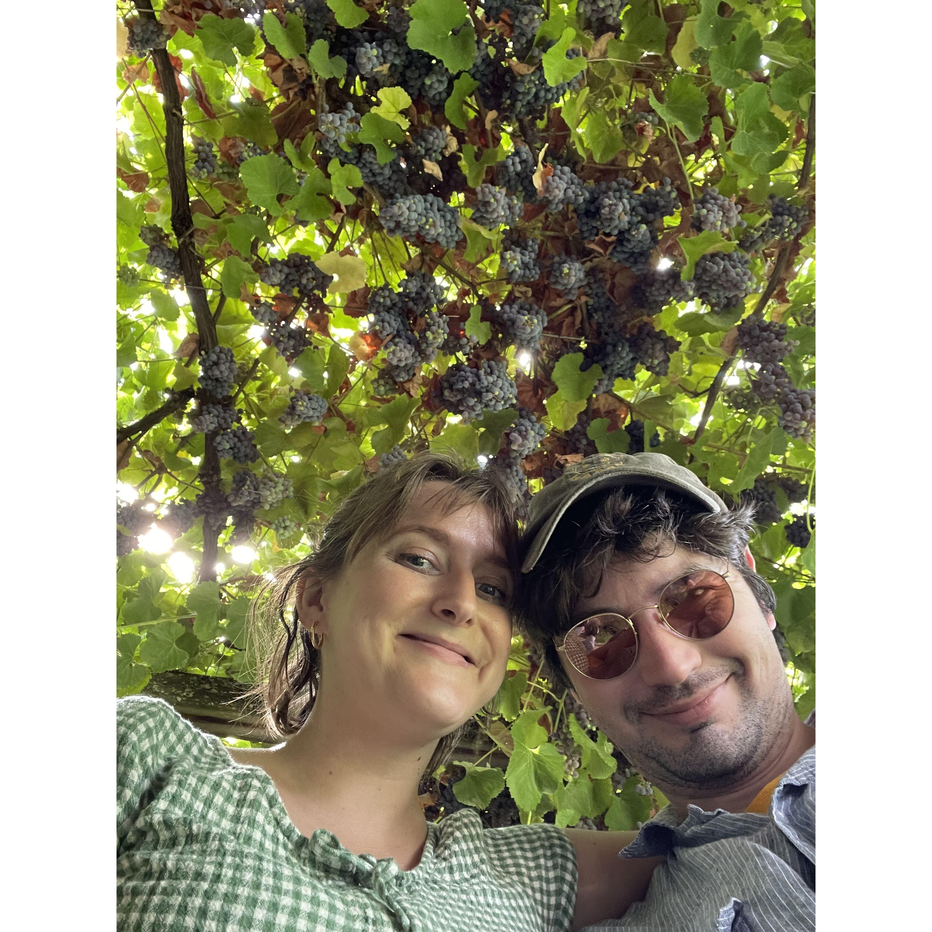 U-Pick farm date