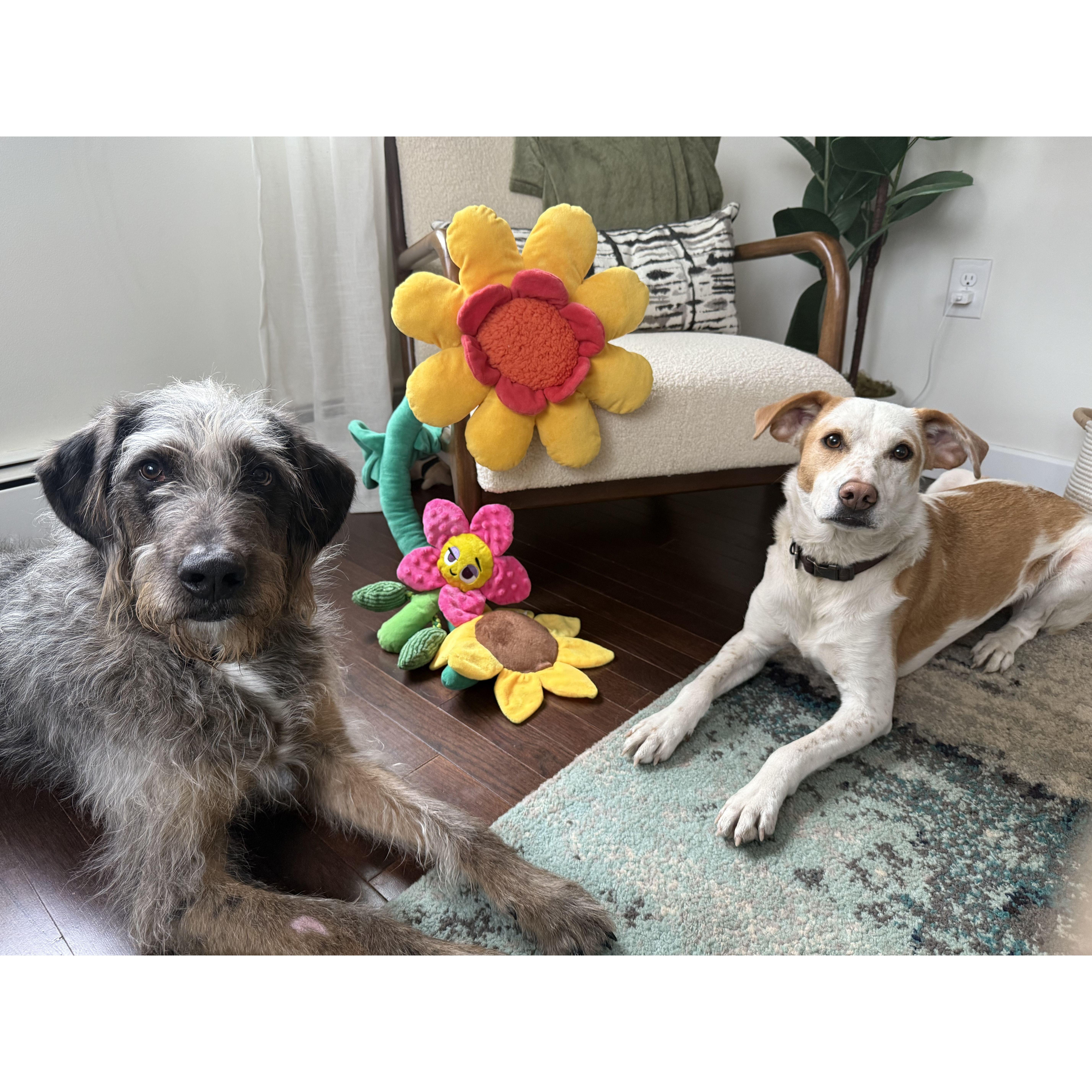 Rocco and Ruth