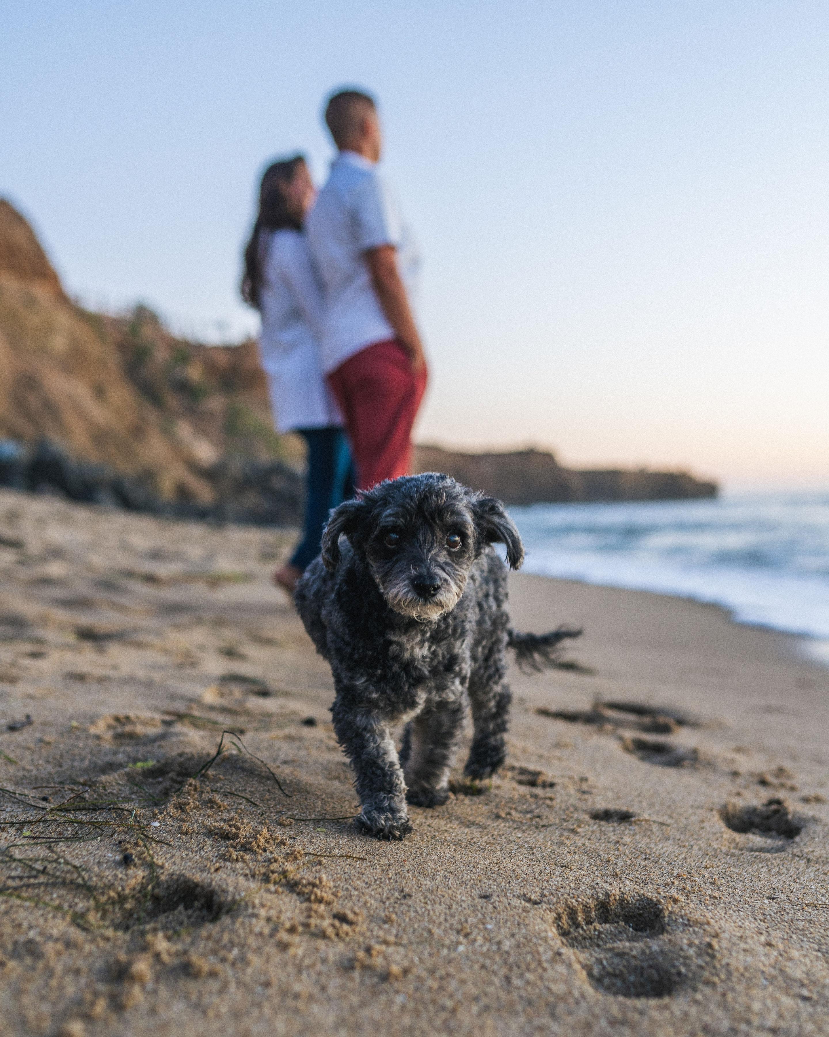 The Wedding Website of Sam Siclari and Jenna Hollow