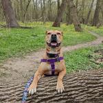 Rocky River Reservation
