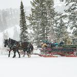 Sleigh Rides