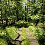 Trails