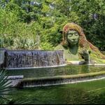 Atlanta Botanical Garden