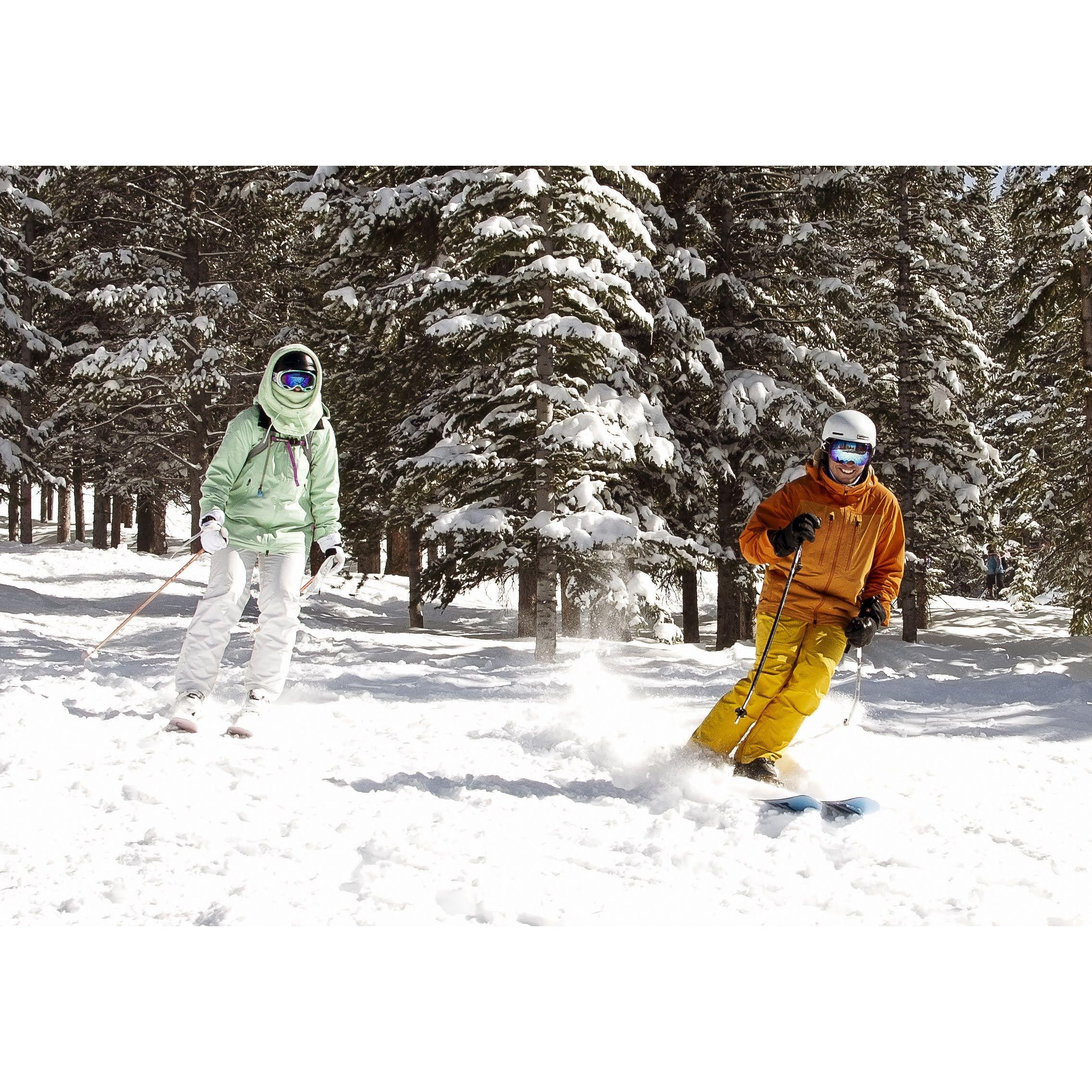 Skiing Engaged
