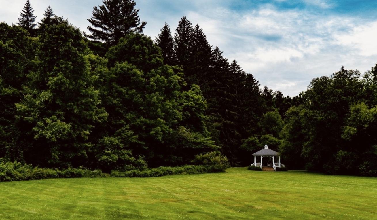 The Wedding Website of Claire Girvin and Michael Zuckerman