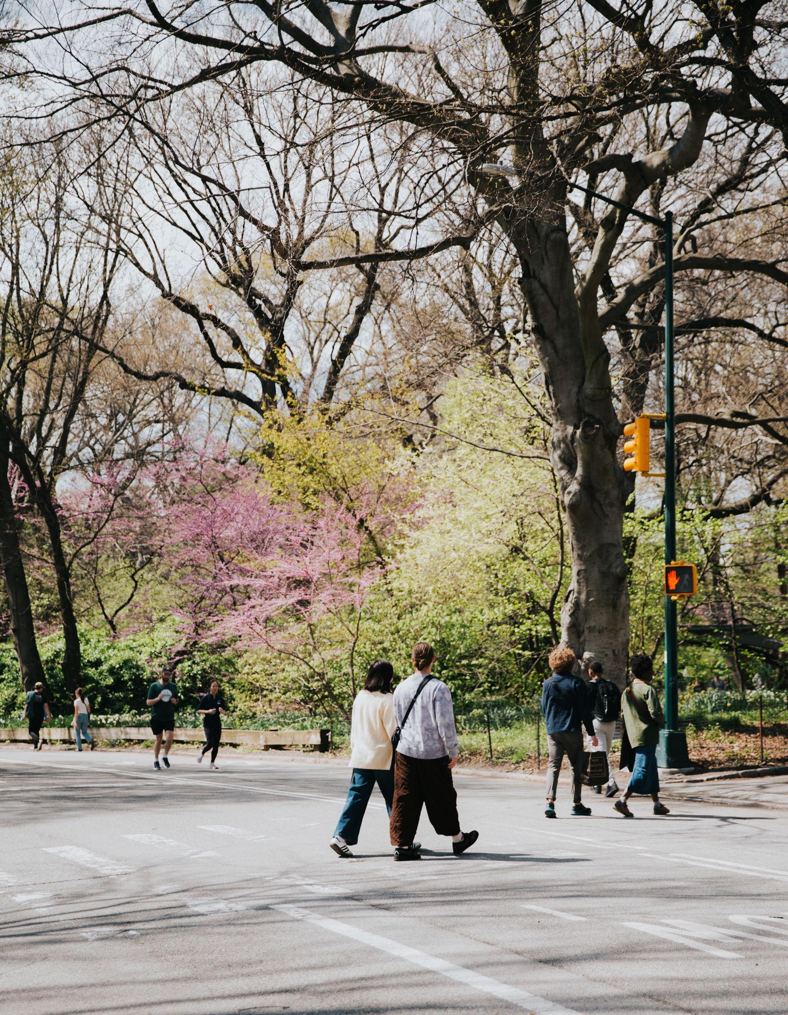 The Wedding Website of Maria Kulkarni and Hill Coulson