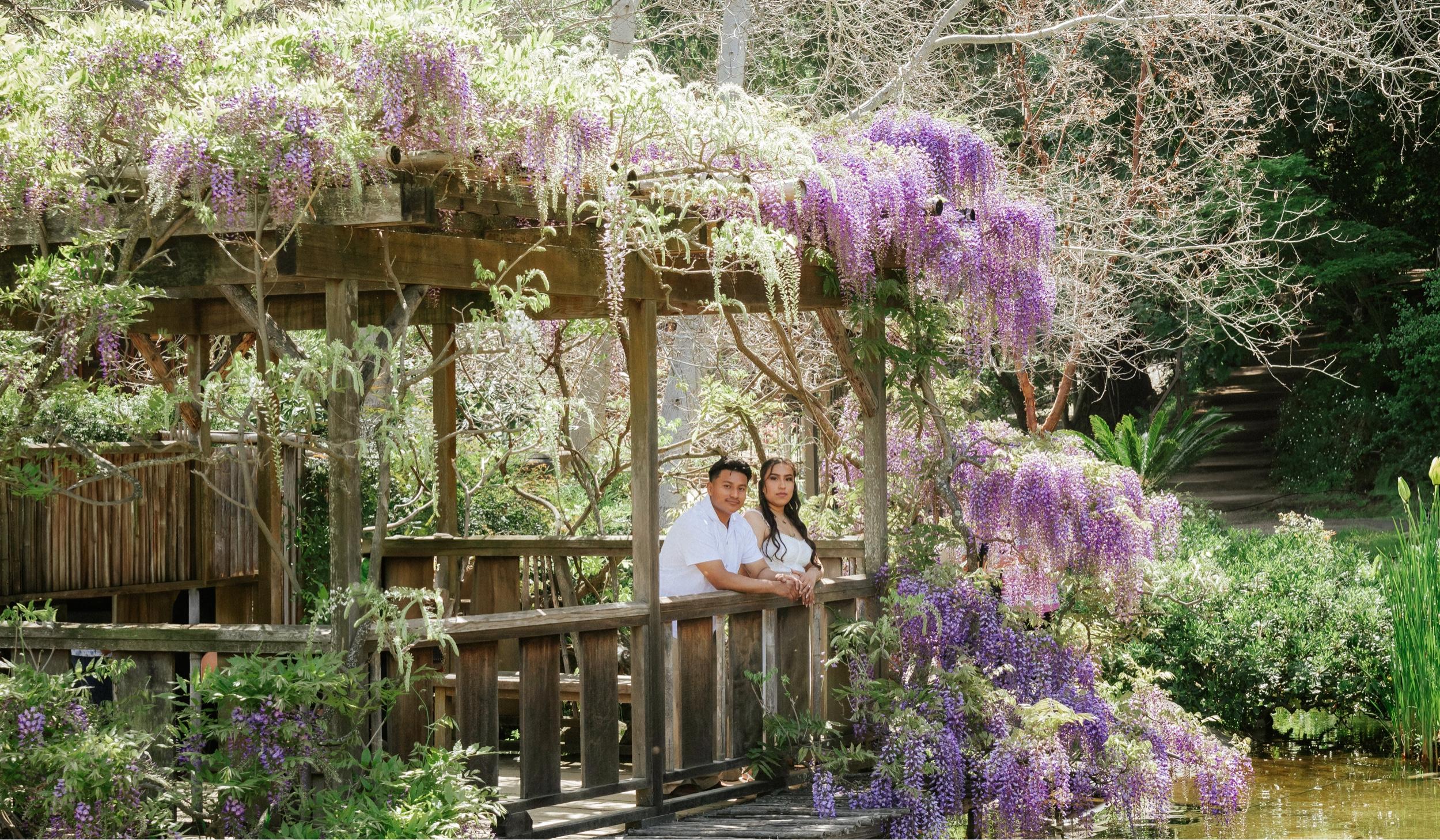 Hero Slideshow Image 0