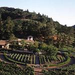 Napa Valley