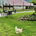 Wisteria Farm and Vineyard