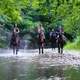 Horseback Riding, Fishing, UTV tours, and Massages at Graves