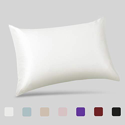 ALASKA BEAR Natural Silk Pillowcase, Hypoallergenic, 19 Momme, 600 Thread Count 100 Percent Mulberry Silk, Standard Size with Hidden Zipper (1, Ivory White)