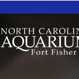 NC Aquarium at Fort Fisher