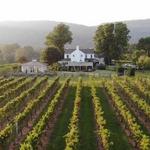 Veritas Vineyards & Winery