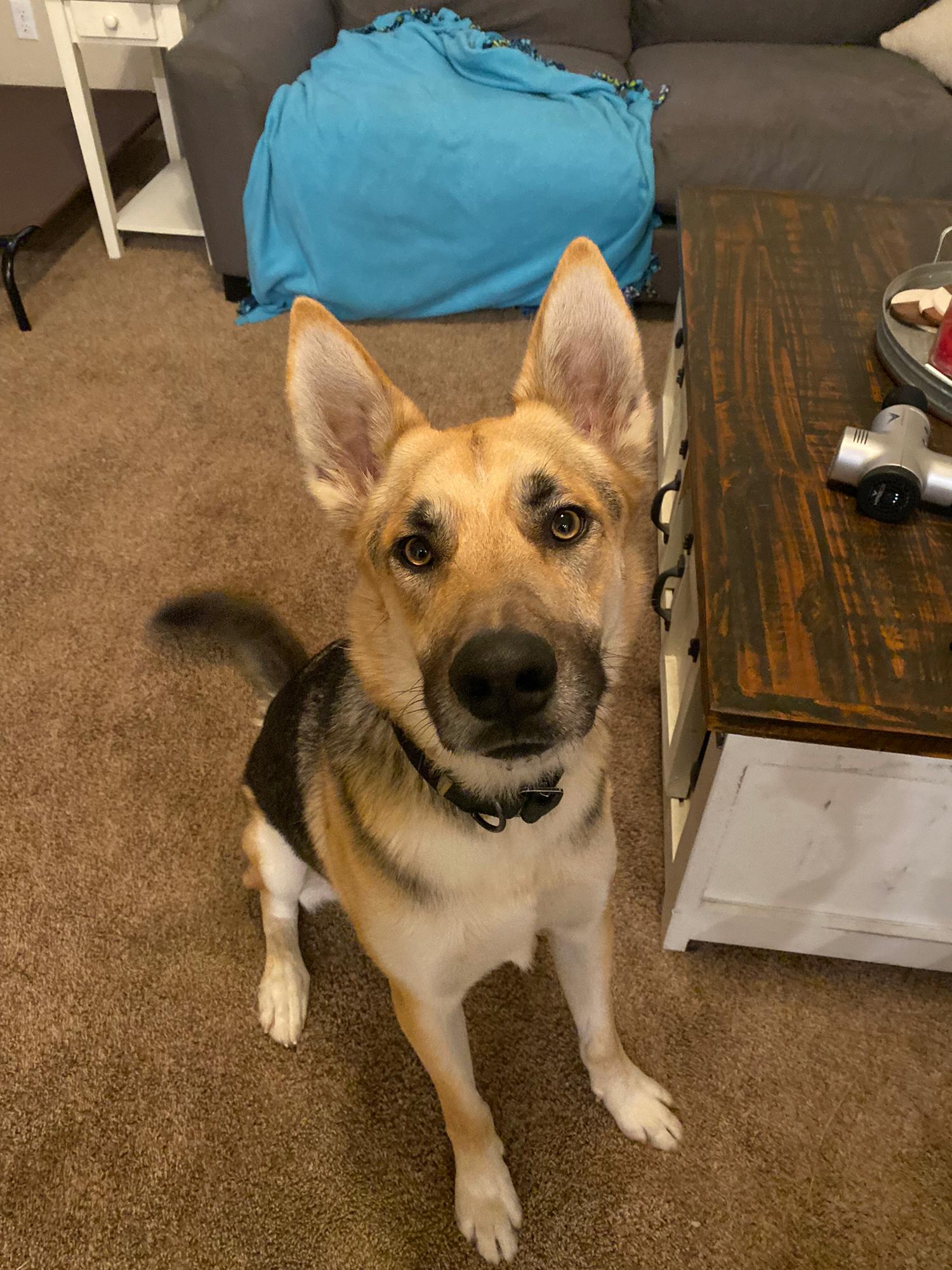 Kylo looking handsome!