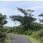 Cape Cod Rail Trail