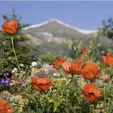 Breckenridge Summer Activities